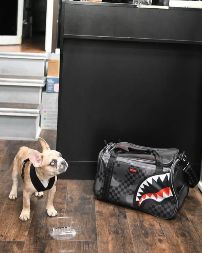 PET CARRIERS*Sprayground 3AM PET CARRIER